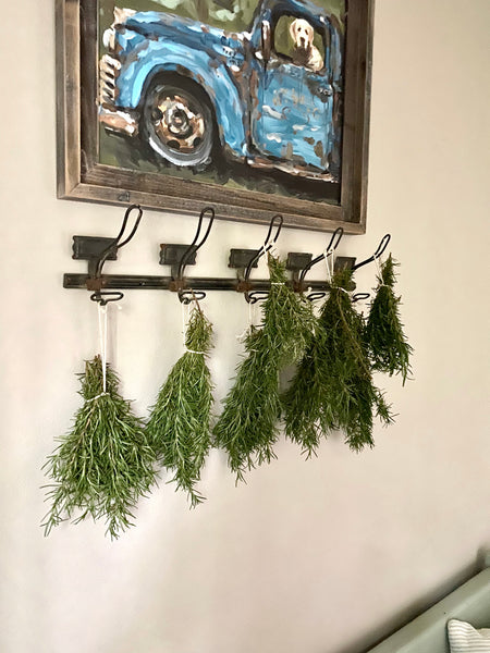 Growing and Drying Your Own Herbs